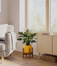 Load image into Gallery viewer, Mustard stand:walnut
