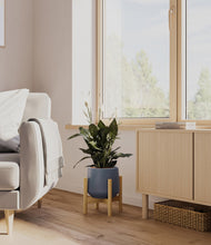 Load image into Gallery viewer, Deep Navy stand:bamboo
