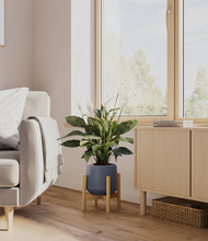 Load image into Gallery viewer, Deep Navy stand:bamboo
