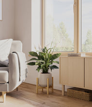 Load image into Gallery viewer, Eternal Gray stand:bamboo
