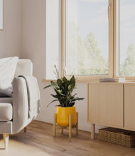 Load image into Gallery viewer, Mustard stand:bamboo
