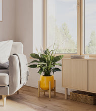 Load image into Gallery viewer, Mustard stand:bamboo
