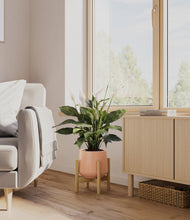 Load image into Gallery viewer, Calm Rose stand:bamboo
