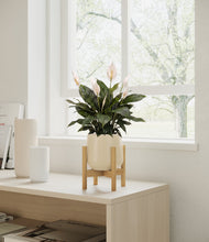 Load image into Gallery viewer, Almond Green stand:bamboo
