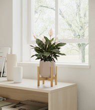 Load image into Gallery viewer, Eternal Gray stand:bamboo
