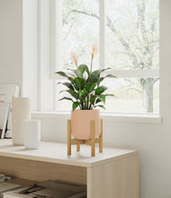 Lade das Bild in den Galerie-Viewer, Gentle Pink stand:light
