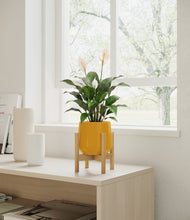 Lade das Bild in den Galerie-Viewer, Mustard stand:light
