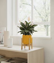 Load image into Gallery viewer, Mustard stand:bamboo

