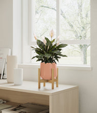 Load image into Gallery viewer, Calm Rose stand:bamboo
