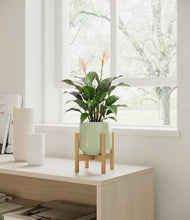 Lade das Bild in den Galerie-Viewer, Turquoise stand:light
