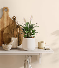 Lade das Bild in den Galerie-Viewer, White
