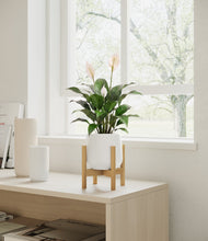 Lade das Bild in den Galerie-Viewer, White stand:light
