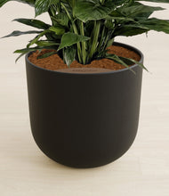 Lade das Bild in den Galerie-Viewer, Stone Black stand:all
