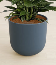 Lade das Bild in den Galerie-Viewer, Iron Gray stand:all
