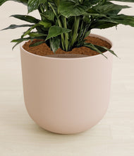 Lade das Bild in den Galerie-Viewer, Sandy Pink stand:all
