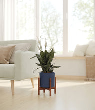 Load image into Gallery viewer, Deep Navy stand:walnut
