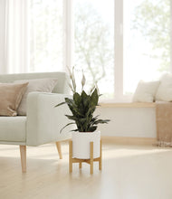 Load image into Gallery viewer, White stand:bamboo
