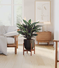 Load image into Gallery viewer, Stone Black stand:walnut

