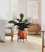 Lade das Bild in den Galerie-Viewer, Earth Red stand:walnut
