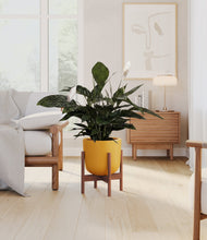 Lade das Bild in den Galerie-Viewer, Sunset Orange stand:walnut
