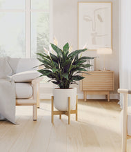 Load image into Gallery viewer, Natural Bamboo stand:bamboo
