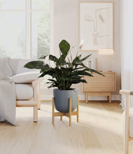 Lade das Bild in den Galerie-Viewer, Iron Gray stand:bamboo
