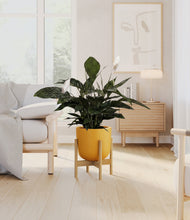 Lade das Bild in den Galerie-Viewer, Sunset Orange stand:bamboo
