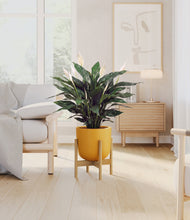 Load image into Gallery viewer, Sunset Orange stand:bamboo

