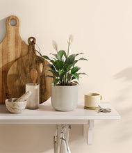 Charger l'image dans la galerie, Cotton White

