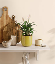 Charger l'image dans la galerie, Key Lime Yellow
