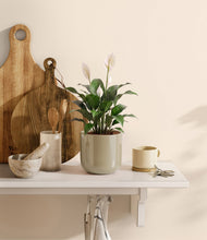 Charger l'image dans la galerie, Sage Green
