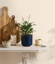 Charger l'image dans la galerie, Twilight Blue
