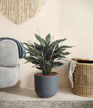 Load image into Gallery viewer, Iron Gray stand:all
