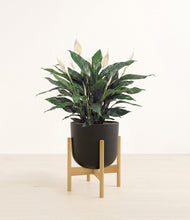 Load image into Gallery viewer, Stone Black stand:bamboo
