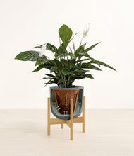 Lade das Bild in den Galerie-Viewer, Iron Gray stand:all
