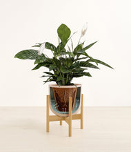 Lade das Bild in den Galerie-Viewer, Sandy Pink stand:all
