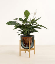 Lade das Bild in den Galerie-Viewer, Stone Black stand:all

