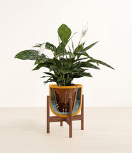 Lade das Bild in den Galerie-Viewer, Sunset Orange stand:all

