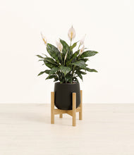 Load image into Gallery viewer, Black stand:bamboo
