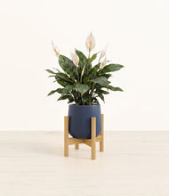 Load image into Gallery viewer, Deep Navy stand:bamboo
