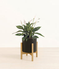 Load image into Gallery viewer, Black stand:bamboo
