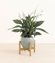 Load image into Gallery viewer, Deep Ocean stand:bamboo
