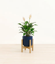 Charger l'image dans la galerie, Twilight Blue stand:light

