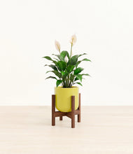 Charger l'image dans la galerie, Key Lime Yellow stand:dark
