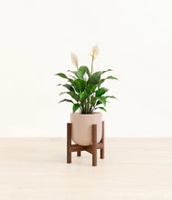 Charger l'image dans la galerie, Sandy Pink stand:dark
