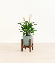 Charger l'image dans la galerie, Reactive Aqua stand:dark
