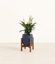 Lade das Bild in den Galerie-Viewer, Deep Navy stand:walnut
