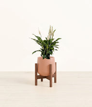 Lade das Bild in den Galerie-Viewer, Calm Rose stand:walnut

