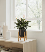 Load image into Gallery viewer, Stone Black stand:all
