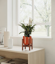Lade das Bild in den Galerie-Viewer, Glossy Red stand:walnut
